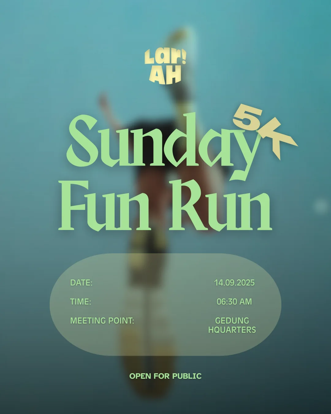LariAH fun run poster